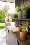 greenville rond 18cm living noir